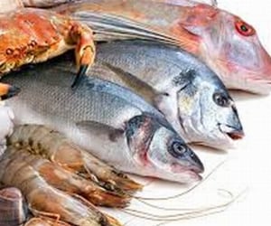 Australia set to ride the wave of surging seafood demand